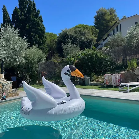 Pisolo