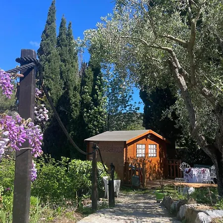 Apartman Pisolo Procchio