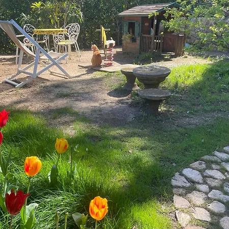 Apartman Pisolo Procchio