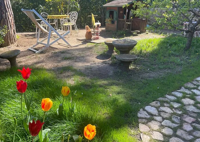 Apartman Pisolo Procchio